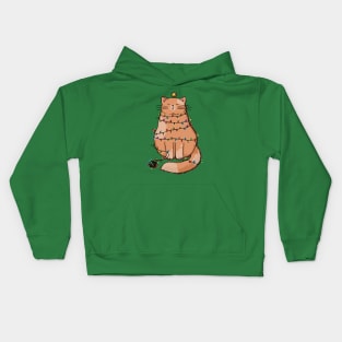 Grumpy Christmas Cat Kids Hoodie